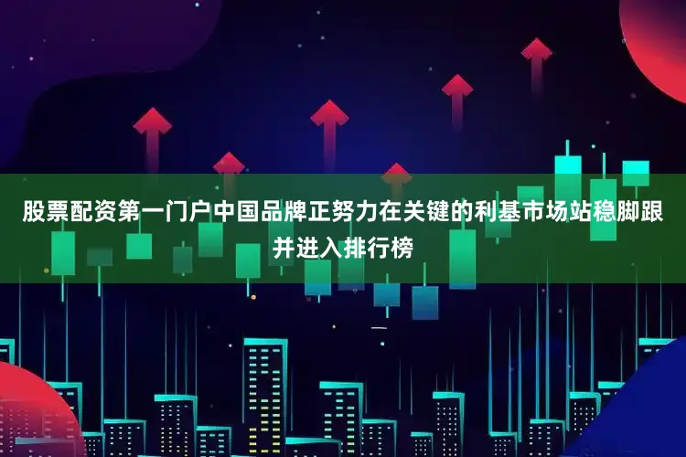 股票配资第一门户中国品牌正努力在关键的利基市场站稳脚跟并进入排行榜