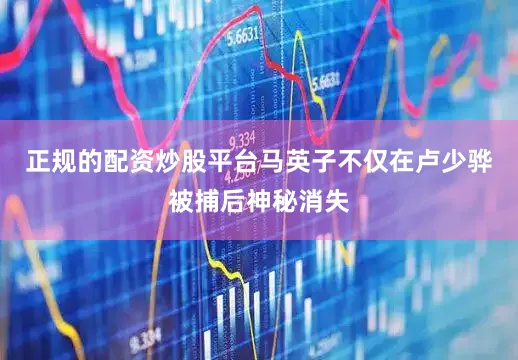正规的配资炒股平台马英子不仅在卢少骅被捕后神秘消失