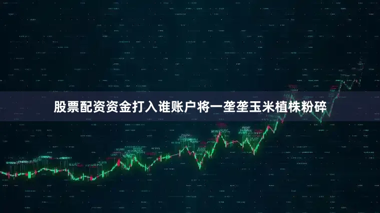 股票配资资金打入谁账户将一垄垄玉米植株粉碎