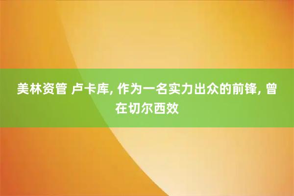 美林资管 卢卡库, 作为一名实力出众的前锋, 曾在切尔西效