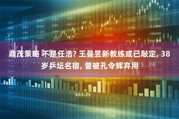 鼎茂策略 不是任浩? 王曼昱新教练或已敲定, 38岁乒坛名宿, 曾被孔令辉弃用